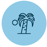 Island tours