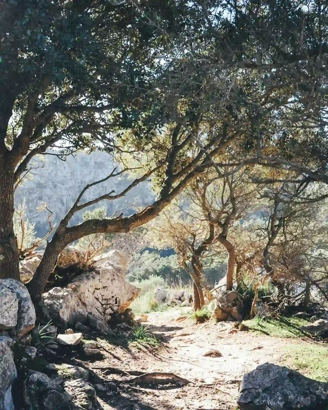 Lluc Mallorca